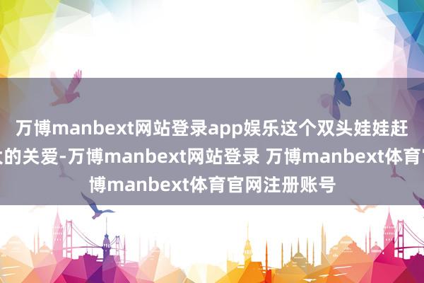 万博manbext网站登录app娱乐这个双头娃娃赶快引起了极大的关爱-万博manbext网站登录 万博manbext体育官网注册账号