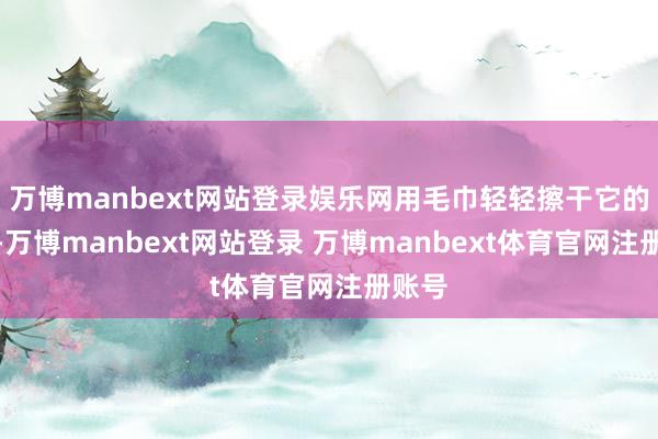万博manbext网站登录娱乐网用毛巾轻轻擦干它的毛发-万博manbext网站登录 万博manbext体育官网注册账号